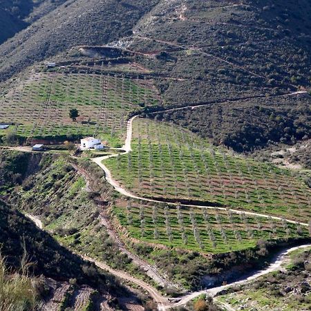 Vila Cortijo El Rancho Albanchez Exteriér fotografie