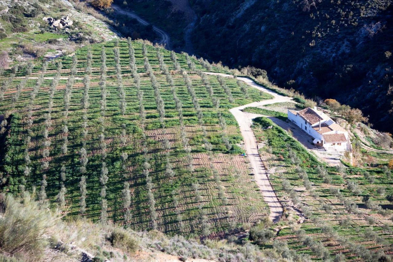 Vila Cortijo El Rancho Albanchez Exteriér fotografie